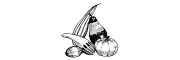 lenes-vgetar-verden-logo
